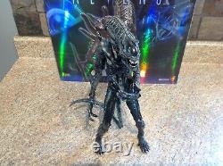 Hot Toys Aliens Alien Warrior MMS38 1/6 Scale Figure Used Condition USA Seller