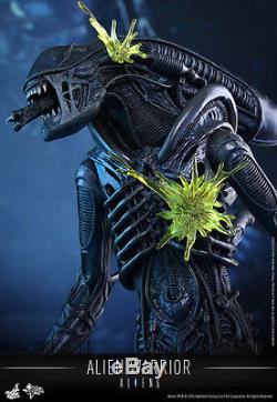 Hot Toys Aliens Alien Warrior Officiel Version