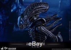 Hot Toys Aliens Movie Masterpiece Alien Warrior 1/6 12 Figure AVP #902693