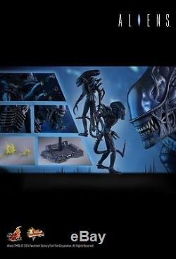Hot Toys MMS 354 Aliens Alien Warrior 1/6 35cm Collectible Action Figure NEW