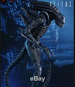 Hot Toys MMS354 Aliens Alien Warrior 1/6 Action Figure sixth scale NEW in shippe