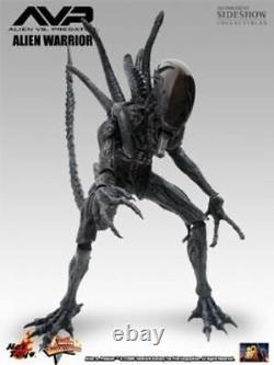 Hot Toys Sideshow 1/6 AVP Alien vs Predator Warrior Figure