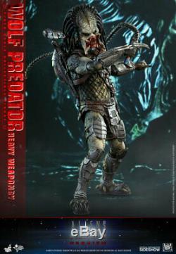 Hot Toys Wolf Predator Heavy Weaponry 1/6 Scale Figure Alien V Predator Sideshow