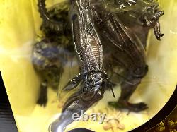 McFarlane Alien 12 Figure with Lunging Inner Jaw Play Action (1 feet loose)