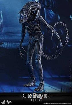 Movie Masterpiece Alien Warrior Sixth Scale Figure by Hot Toys