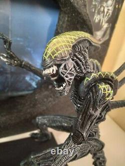 NECA AVP GRID ALIEN VS CELTIC PREDATOR RIVALRY used 2-PACK DIORAMA U. S. SELLER