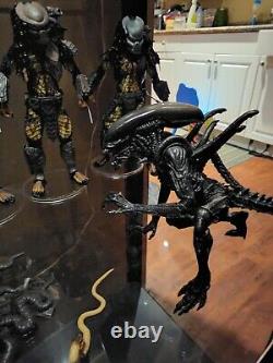 NECA AVP predator And Alien Figures