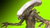 Neca Alien 1 4 Scale Xenomorph Action Figure Review