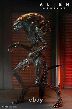 NECA Alien Romulus Figure & Acessory Set