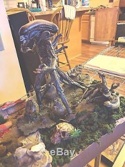 NECA Alien Vs Predator Figures in Custom Diorama