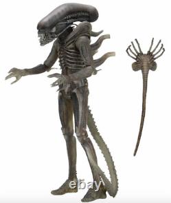NECA Aliens Alien 40th Anniversary Xenomorph Ripley Lambert 7 Figures Set
