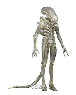 NECA Aliens Xenomorph Translucent Prototype Suit 22 Concept Figure 1/4 Scale