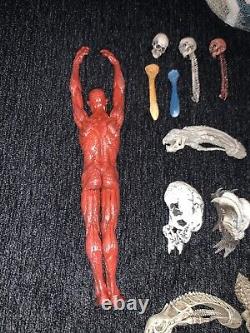 NECA Predator Alien 7-inch Action Figure Corpse Scene Accessory & trophies