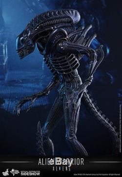 New Hot Toys 14 Aliens Alien Warrior 16 Scale Figure Movie 30th Anny Ripley