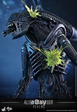 New Hot Toys 14 Aliens Alien Warrior 16 Scale Figure Movie Mms354 Anny Ripley