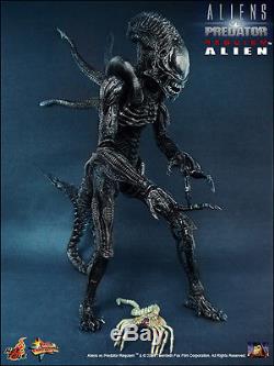 NEW Hot Toys 1/6 Scale AVP Grid Alien Warrior Face Hugger Figure statue sideshow