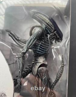 Neca Alien Covenant Xenomorph Action Figure