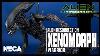 Neca Alien Resurrection Xenomorph Warrior Video Review Horror