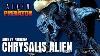 Neca Alien Vs Predator Chrysalis Alien Video Review Horror