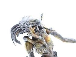Neca Alien Vs Predator Requiem 2007 Hybrid Predalien Open Mandible