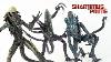 Neca Aliens Avp Video Game Movie Mash Up Razor Claws Arachnoid And Chrysalis Aliens Action Figure