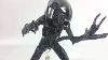 Neca Avp Warrior Alien Action Figure Review
