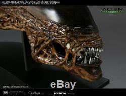 Sideshow Alien New Warrior Life Size Head 11 CoolProps Bust HR Giger Predator