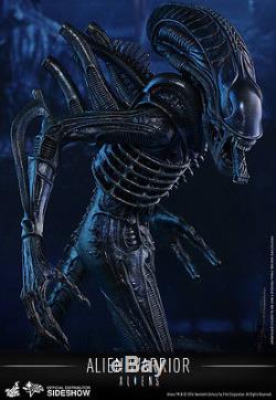 Sideshow HOT TOYS Aliens ALIEN WARRIOR 13.5 1/6 Scale Xenomorph Figure