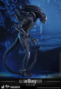 Sideshow HOT TOYS Aliens ALIEN WARRIOR 13.5 1/6 Scale Xenomorph Figure
