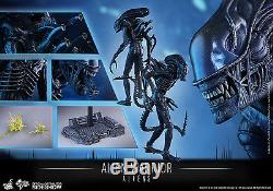 Sideshow Hot Toys ALIENS ALIEN WARRIOR 1/6 Scale Figure 902693 FREE SHIPPING