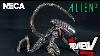 Toy Spot Neca Alien 3 Dog Alien