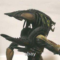 USED Celtic Predator Alien 1/6 Figure Predator Hot Toys From Japan Free Shipping
