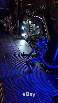 Xenowerx Alien Diorama Stand AVP Predator Neca Xenomorph